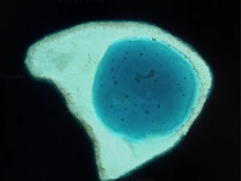 Maldives Islands & Lagoons · Лагуна 62 га, атолл Каафу 11